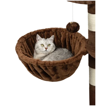 Eine flauschige graue Katze mit leuchtend grünen Augen entspannt sich in einer gemütlichen, braunen, plüschigen Hängematte, die an einem Kratzbaum befestigt ist.