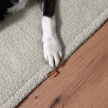 Eine Nahaufnahme einer Hundepfote, die auf einem weichen, hellgrauen Teppich ruht, mit sichtbarem Holzboden darunter.