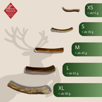 Bild von verschiedenen Größen von Geweihkausspielzeug für Haustiere, beschriftet von XS bis XL mit entsprechenden Gewichtsschätzungen, auf einem hellen Hintergrund.