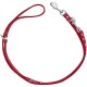 Rote Leder-Hundeleine mit einer Schlaufenhandhabung und einem Metallclip, mit silbernen Beschlägen und dekorativen Nieten.