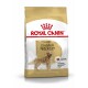Sac de nourriture pour chiens Royal Canin Adult Golden Retriever, avec une illustration de golden retriever, avec un texte mettant en avant la nutrition spécifique à la race.