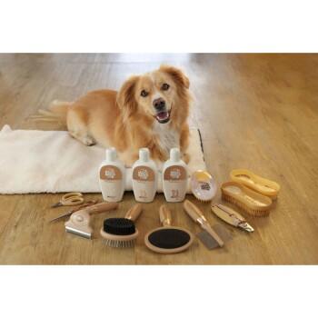 Ein goldener Hund sitzt auf einem weißen Handtuch, umgeben von Pflegeprodukten, darunter drei Flaschen Shampoo, Bürsten, Scheren und ein Kamm.