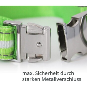 Nahaufnahme eines grünen Haustierhalsbands mit einer stabilen Metallschnalle, mit dem Text 'max. Sicherheit durch starken Metallverschluss' darunter.