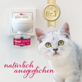 Eine graue Katze mit grünen Augen neben einem Felisept Home Comfort Diffusor, der "natürlich ausgeglichen" und ein goldenes "die Nr.1"-Abzeichen trägt.