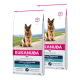 Zwei Tüten Eukanuba Hundefutter, beschriftet mit "Rassenspezifisch Deutscher Schäferhund", jede wiegt 12 kg, mit einem Bild eines Deutschen Schäferhundes auf der Vorderseite.