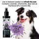 Ein lächelnder Hund neben einer Flasche Bugalugs Lavendel- & Kamille-Deodorierungsspray, das Frische zwischen den Wäschen fördert.