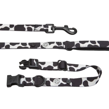 Schwarz-weiße Hundeleine im Kuhmuster mit einem stabilen Clip und verstellbarem Schnallenverschluss, flach auf einem weißen Hintergrund ausgelegt.