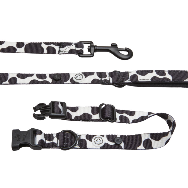 Barkalot Hundehalsband-Auslaufset weiß/ schwarz S