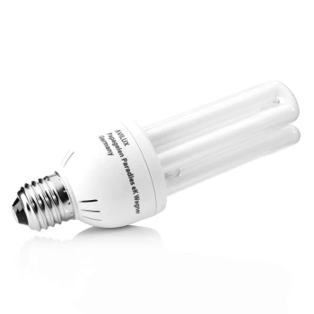 Kompakte Energiesparlampe mit weißem Sockel und vier gebogenen Röhren, beschriftet mit "AMILUX" und "Papageien Paradies K. Wagner (Deutschland)."