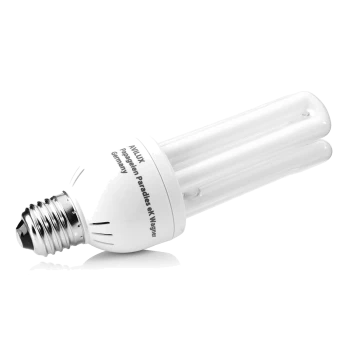 Kompakte Energiesparlampe mit weißem Sockel und vier gebogenen Röhren, beschriftet mit "AMILUX" und "Papageien Paradies K. Wagner (Deutschland)."