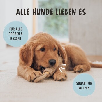 Ein Golden Retriever Welpe auf einem hellen Teppich, der ein Spielzeug kaut. Text: "Alle Hunde lieben es," "Für alle Größen & Rassen," "Sogar für Welpen."