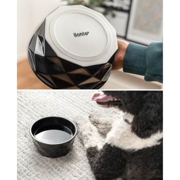 Schwarze geometrische Keramik-Tierschale mit Wasser, Markenname „lionto“ unten sichtbar, neben einem schwarz-weißen Hund.