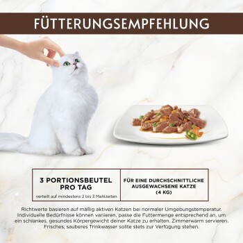 Weiße Katze wird neben Teller mit Nassfutter gestreichelt; Text 'FÜTTERUNGSEMPFEHLUNG' und '3 PORTIONSBEUTEL PRO TAG'.