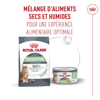 Sac d'aliment sec Royal Canin Care Digestive et boîte humide avec image de chat ; texte visible : «MÉLANGE D'ALIMENTS SECS ET HUMIDES» et «95 %».