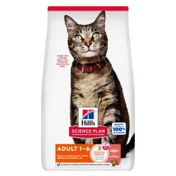 Sac Hill's Science Plan pour chats adultes avec un chat tigré au collier rouge, portant les mentions « Adult 1–6 », « 100 % équilibré », « au saumon »