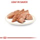 Poodle Adult in Sauce 12x85g 12x85 g