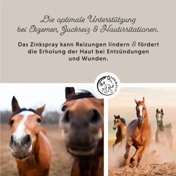Zinkspray für Pferde, das die Hautregeneration bei Ekzemen, Juckreiz und Irritationen fördert. Das Bild zeigt Pferde in einer natürlichen Umgebung.