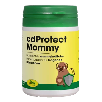 Glas mit grünem Deckel des Hundesupplements 'cdProtect Mommy', gelbes Etikett mit gezeichnetem Hund und Schild sowie deutschem Text.