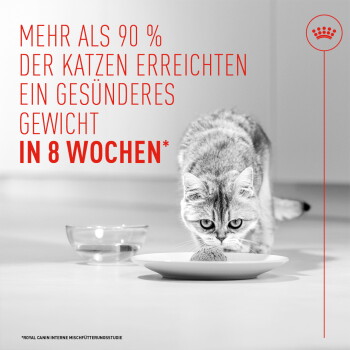 Getigerte Katze frisst von einem Teller neben einer Wasserschale; roter deutscher Text ‚Mehr als 90% ... in 8 Wochen‘ und Royal Canin-Logo