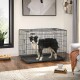 Eine schwarze Draht-Hundebox mit einem stehenden Border Collie darin, in einem modernen Wohnzimmer mit einer Pflanze und Fressnäpfen in der Nähe.