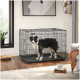 Eine schwarze Draht-Hundebox mit einem stehenden Border Collie darin, in einem modernen Wohnzimmer mit einer Pflanze und Fressnäpfen in der Nähe.