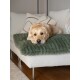 Golden Retriever liegt auf einem grünen gerippten Hundebett, das auf einem hellgrauen Sofa mit dekorativen Kissen liegt.