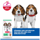Zwei Beaglewelpen mit roten Halsbändern neben einem Hill's Science Plan Welpenbeutel; blauer Banner „FÖRDERT...IMMUNSYSTEM“