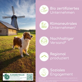 Ein Golden Retriever steht auf einer grasbewachsenen Fläche in der Nähe einer Windmühle und einer Holzscheune, mit Text, der umweltfreundliche Geschäftspraktiken hervorhebt.
