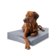 Brauner Hund liegt auf einem grauen Haustierbett mit ausgestreckter Vorderpfote; kleines Etikett mit Logo in Schreibschrift sichtbar.