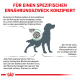 Infografik zur Ernährung bei Diabetes bei Hunden, die eine Hundesilhouette und deutschen Text zu Insulin, Blutzucker und gesundem Gewicht zeigt.