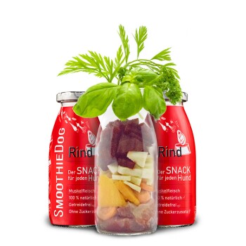 Nahaufnahme eines braunen Hundes, der eine Smoothie-Flasche mit dem Etikett 'SmoothieDog' leckt, wobei der Text 'Der SNACK für jeden Hund' sichtbar ist.
