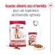 SHN Medium Adult 7+ 15 kg
