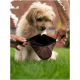 Ein kleiner, flauschiger Hund schaut neugierig auf eine braune Haustiertasche, die von einer Person gehalten wird, vor einem grünen Hintergrund.