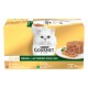 Packung Purina Gourmet Gold Katzen-Terrine, mit einer flauschigen weißen Katze auf der Vorderseite, mit den Geschmacksrichtungen: Lachs, Huhn, Lamm und Kaninchen.