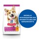 Hill's Science Plan Hundefutter für kleine erwachsene Hunde, Hühnergeschmack, mit einem blauen Kreis, der 'SPEZIELLE ANTIOXIDANTIEN' angibt.