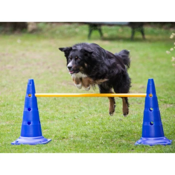 Agility Stange 100cm Ein schwarz-brauner Hund springt über eine gelbe Stange, die von zwei blauen Kegeln auf einem grasbewachsenen Feld gestützt wird.