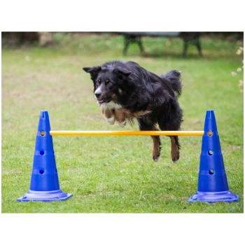 Un chien noir et marron saute par-dessus une barre jaune soutenue par deux cônes bleus sur un champ herbeux.