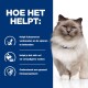 Een fluffy kat op een witte ondergrond tegen een blauwe achtergrond vermeldt voordelen: verbrandt vet, houdt vol, ondersteunt de immuniteit.