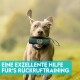 Ein verspielter brauner Hund hält ein Trainingshilfsmittel im Mund und läuft glücklich auf einem grasbewachsenen Feld. Der Text lautet: "Eine exzellente Hilfe für's Rückruftraining."