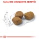 Trois morceaux de croquettes pour animaux de compagnie sur un contour esquissé, avec le texte 'TAILLE DE CROQUETTE ADAPTÉE' au-dessus.
