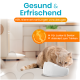 Orangefarbene Katze trinkt aus einer weißen Schale in einer Küche; deutscher Text: "Gesund & Erfrischend" und "Hilft, Nierenerkrankungen vorzubeugen".