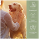 Susanne T.s Bewertung lobt ein Haustierprodukt zur Heilung von Hautproblemen bei ihrem weißen Hund und empfiehlt Nachtkerzenöl. Bewertet mit 4,8/5 aus 7.191 Bewertungen.