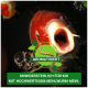 Nahaufnahme eines rot-weißen Koi-Fisches mit Blasen; der Text lautet "Aromatisiert" und "Unwiderstehlich für Koi mit Mehlwurm-Mehl."