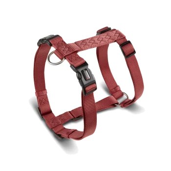 Rotes verstellbares Nylon-Hundegeschirr mit schwarzer Schnalle mit der Aufschrift 'WOLTERS' und silbernen D-Ringen.