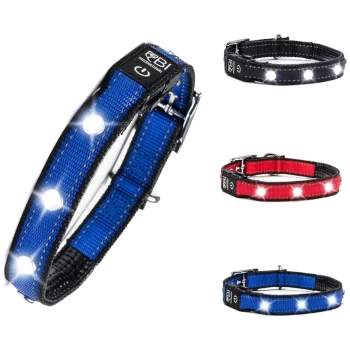 Drei LED-Haustierhalsbänder in Blau, Schwarz und Rot, mit hellen Lichtern und verstellbaren Riemen, vor einem weißen Hintergrund präsentiert.