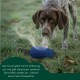 Drei strapazierfähige Stoff-Hundetrainings-Dummy-Spielzeuge in Blau, Orange und Grün mit schwarzen Griffen.