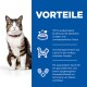Un chat tigré est assis à côté d'un panneau bleu listant les bienfaits de la nourriture pour animaux : nutrition équilibrée, protéine de saumon, et taurine pour la santé cardiaque.
