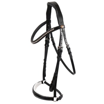 Eine Nahaufnahme eines braunen Pferdes, das ein schwarzes Zaumzeug mit einem mit Juwelen besetzten Stirnriemen trägt, vor einem sanften, verschwommenen Hintergrund.