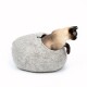 Eine Siamkatze schaut aus einem gemütlichen, grauen Filz-Hundebett mit runder Form und kleiner Öffnung heraus.