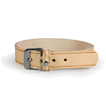 A tan leather dog collar with a silver buckle and stitching details, displayed on a white background.